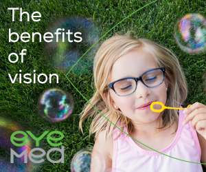 The Benefits Of Vision